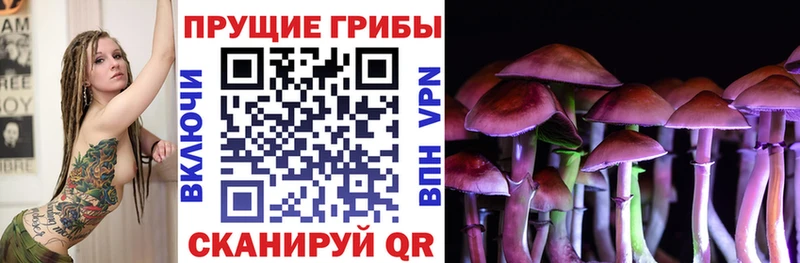 Галлюциногенные грибы Psilocybe Новотроицк
