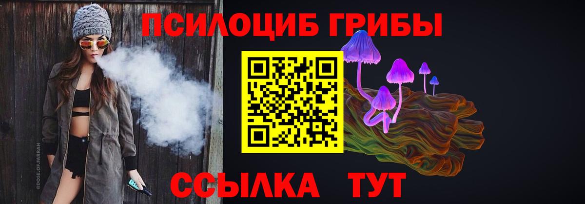 Псилоцибиновые грибы GOLDEN TEACHER Новотроицк